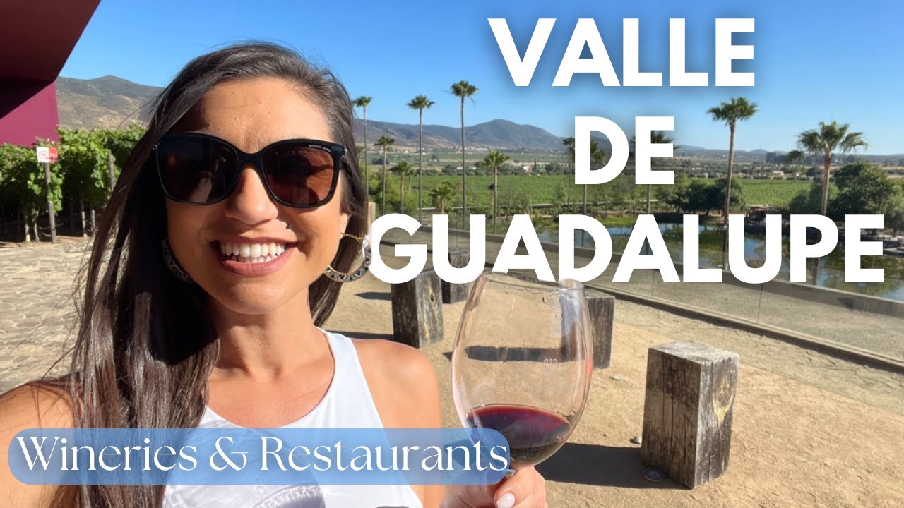 Valle de Guadalupe Wineries with a Dedicated Driver
