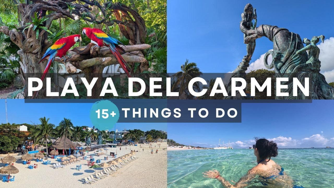 Discover Playa del Carmen with a Daily Driver