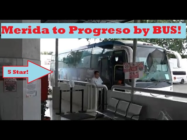Mérida to Progreso Beach: Chauffeured Transport