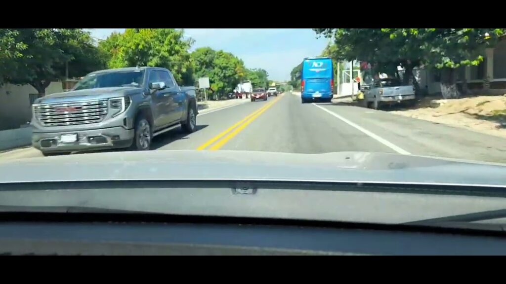 Manzanillo to Barra de Navidad: Driver Service